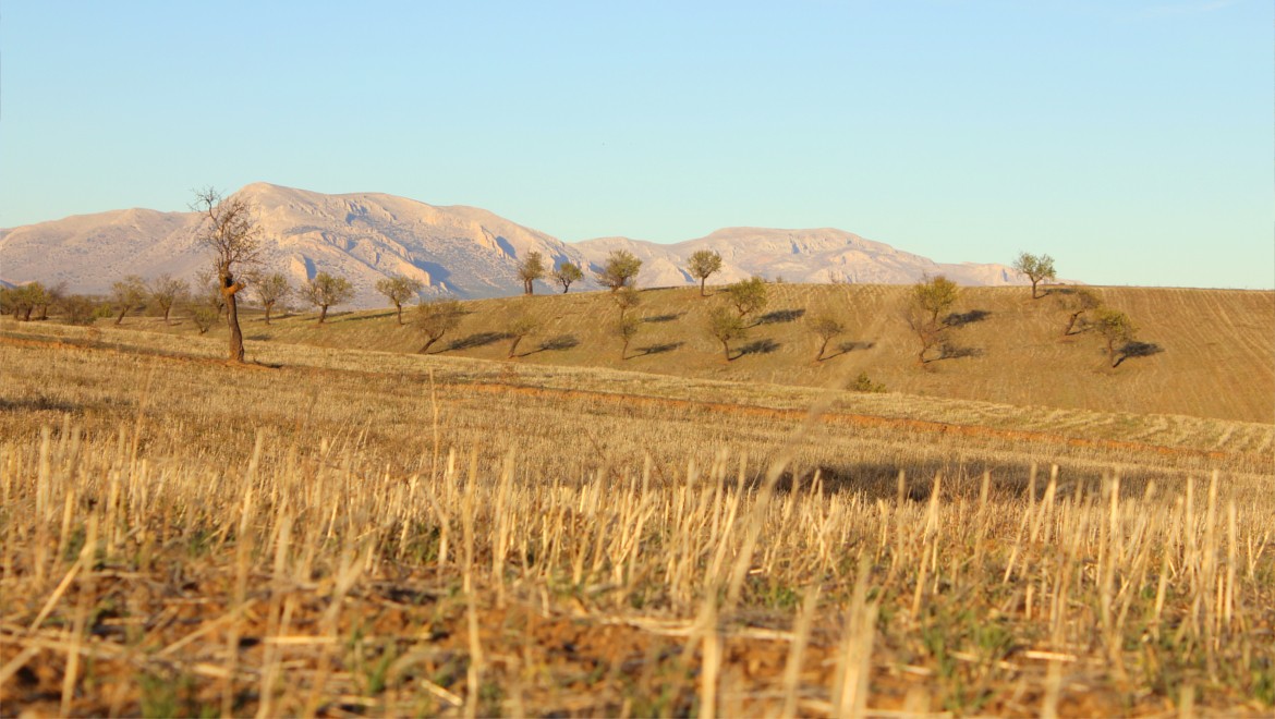 Foto Casa Juan Coja y Dolores